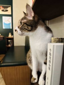 蜉蝣喫茶_巴斯克蛋糕
